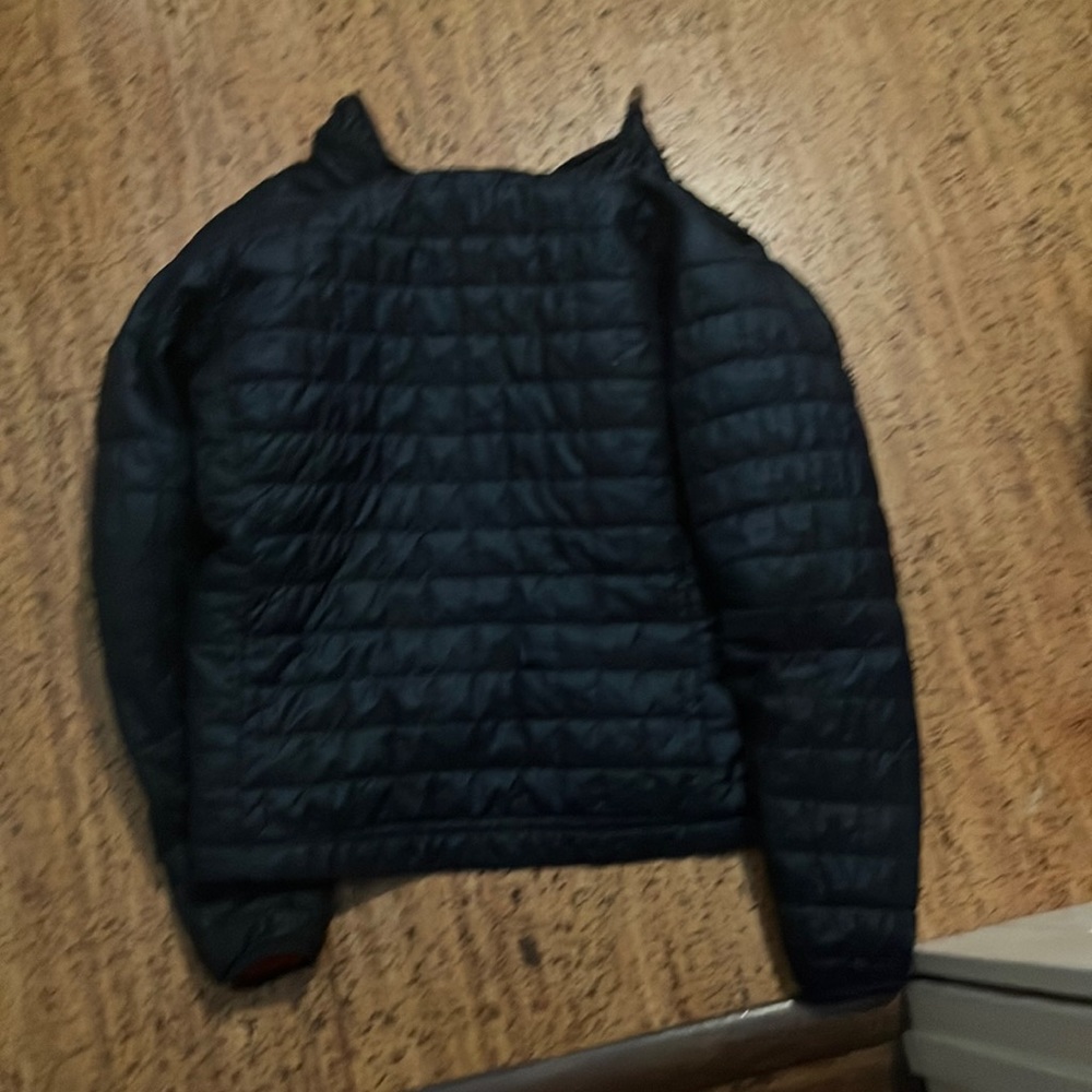 Patagonia puffer